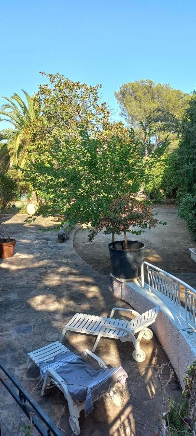 Appartement Et Sa Grande Terrasse En Rez De Jardin Saint Aygulf Εξωτερικό φωτογραφία
